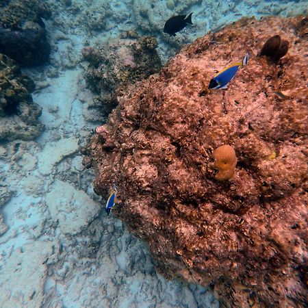 Moodhumaa Inn Guraidhoo  Bagian luar foto