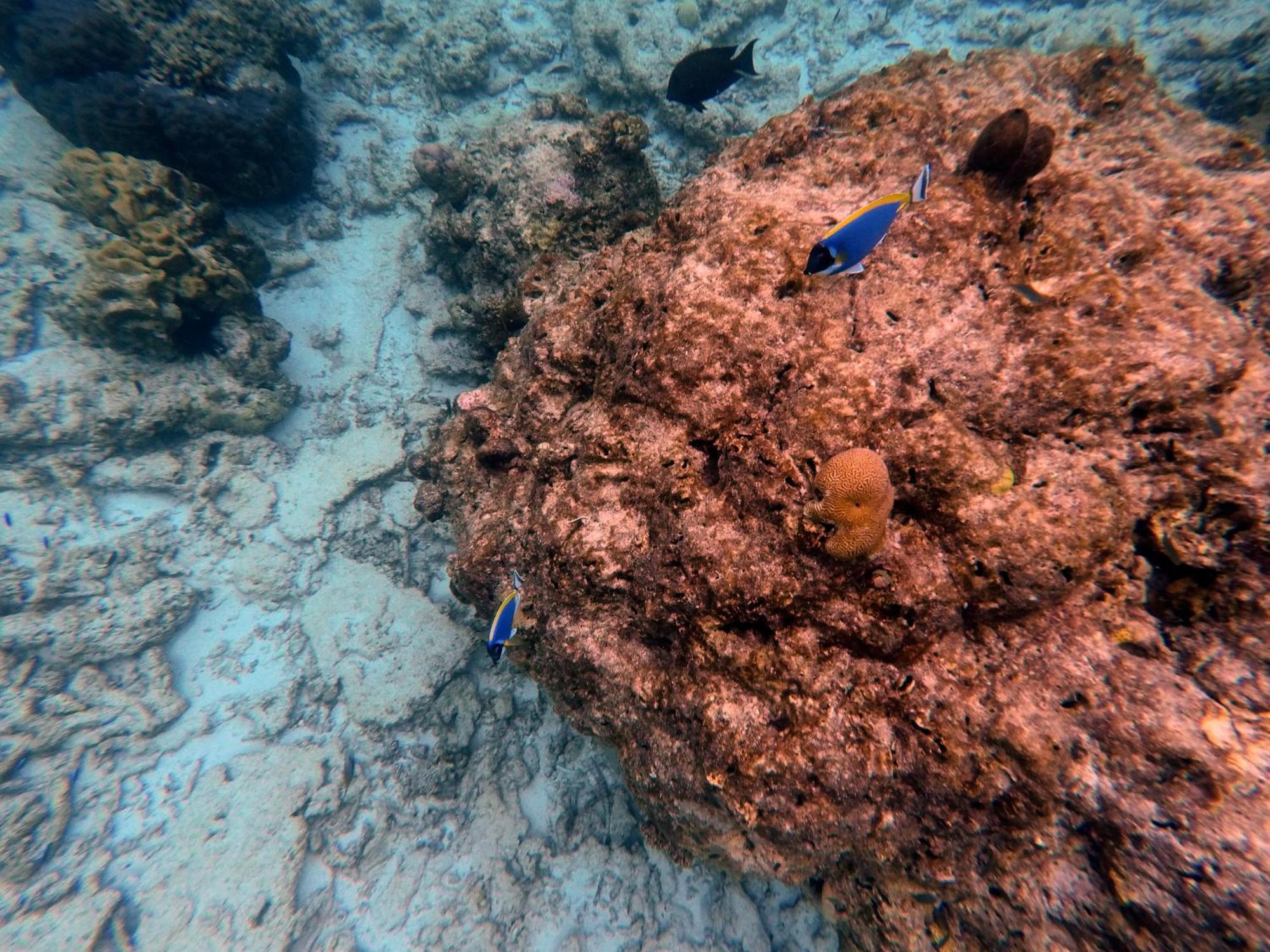 Moodhumaa Inn Guraidhoo  Bagian luar foto