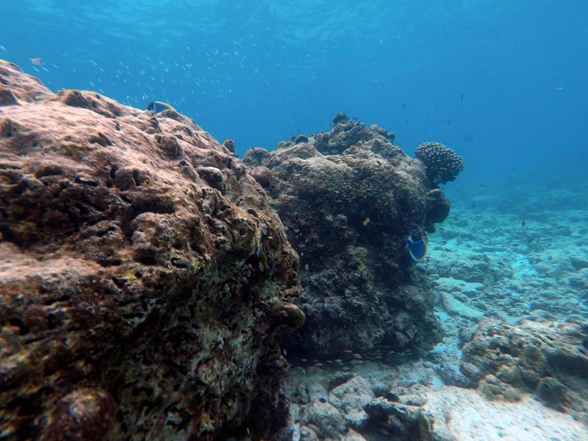 Moodhumaa Inn Guraidhoo  Bagian luar foto