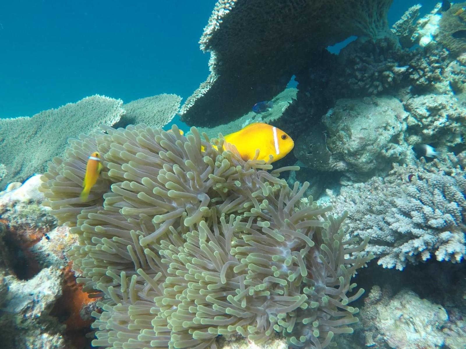 Moodhumaa Inn Guraidhoo  Bagian luar foto