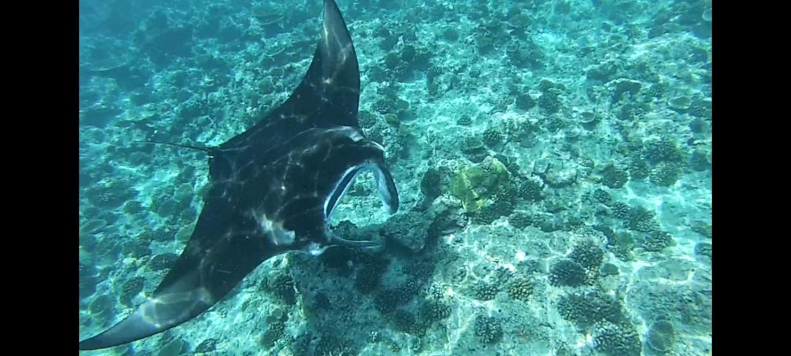 Moodhumaa Inn Guraidhoo  Bagian luar foto
