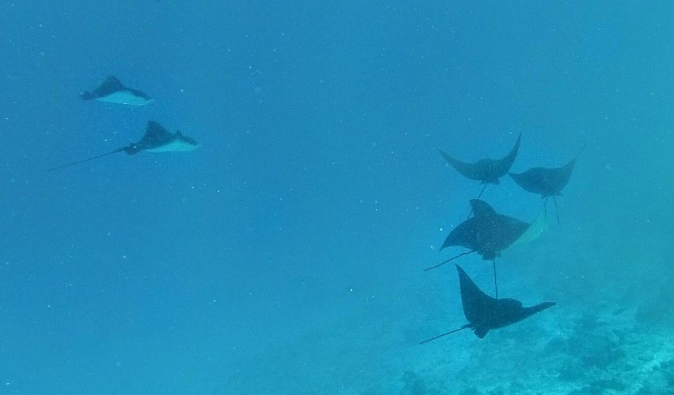 Moodhumaa Inn Guraidhoo  Bagian luar foto