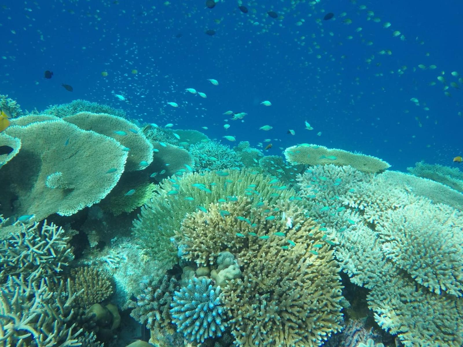 Moodhumaa Inn Guraidhoo  Bagian luar foto