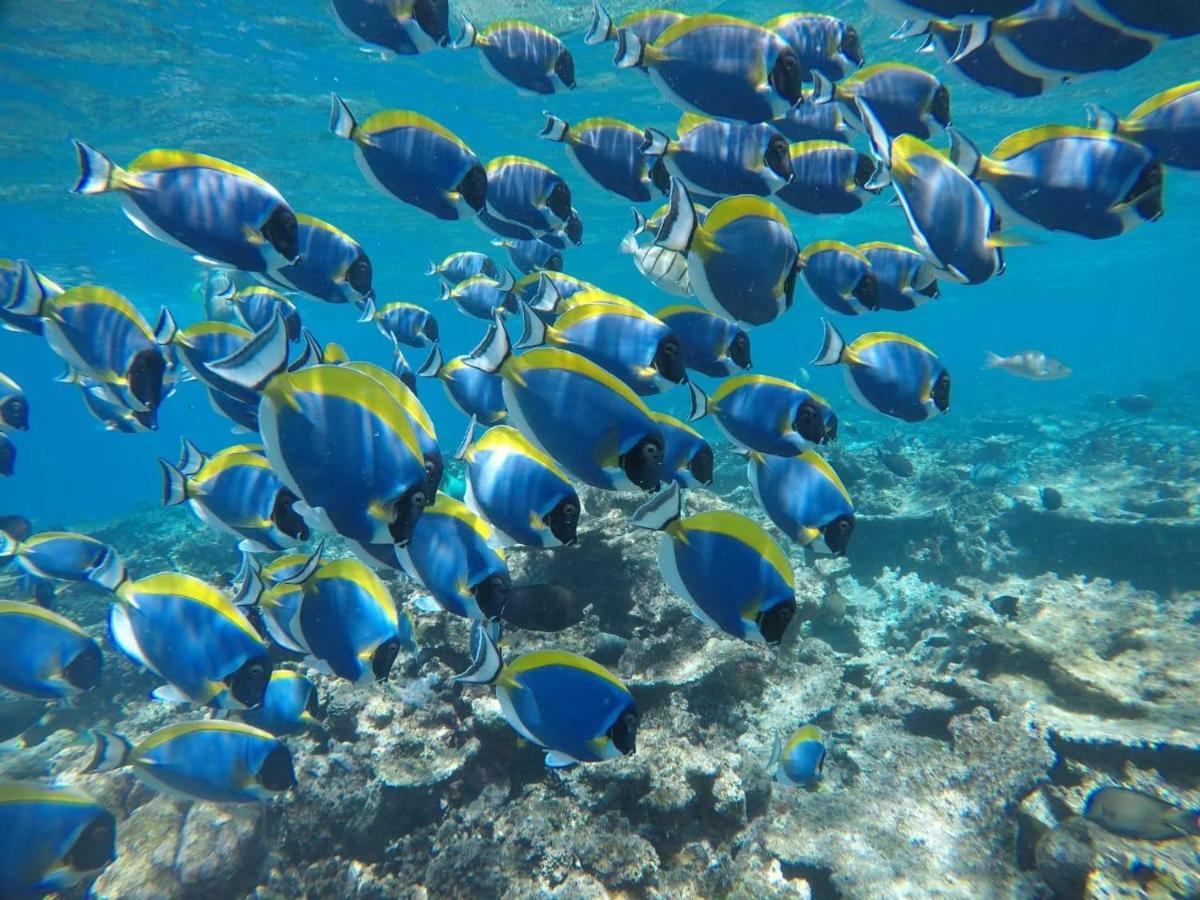 Moodhumaa Inn Guraidhoo  Bagian luar foto